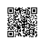 RNC55J1333BSR36 QRCode