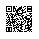 RNC55J1382BSBSL QRCode