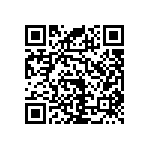 RNC55J16R2BSBSL QRCode