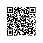 RNC55J2033BSRE6 QRCode