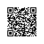 RNC55J2343BSRE6 QRCode