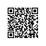 RNC55J2463BSRE6 QRCode