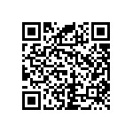 RNC55J2492BSRSL QRCode