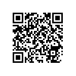 RNC55J2493BSBSL QRCode