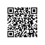 RNC55J2493BSRSL QRCode