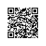 RNC55J2552FSBSL QRCode