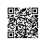 RNC55J2871BSBSL QRCode