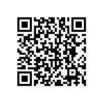 RNC55J2911BSRSL QRCode