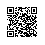 RNC55J2913BSBSL QRCode