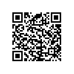 RNC55J3033BSB14 QRCode