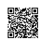 RNC55J3163BSRE6 QRCode