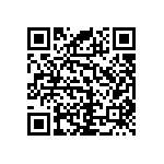 RNC55J3202BSBSL QRCode