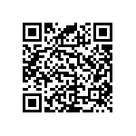 RNC55J3243FSBSL QRCode