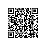 RNC55J3613BSRSL QRCode