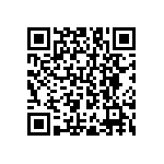 RNC55J4022DSB14 QRCode