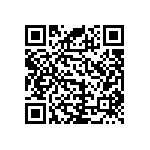 RNC55J4101BSB14 QRCode