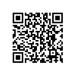 RNC55J4123BSB14 QRCode