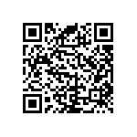 RNC55J4173BSBSL QRCode