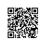 RNC55J4531FSBSL QRCode