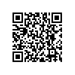 RNC55J6041BSBSL QRCode