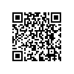 RNCF0402BTC29K4 QRCode