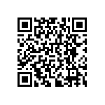 RNCF0402DKE383R QRCode