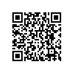 RNCF0402DKE4K99 QRCode