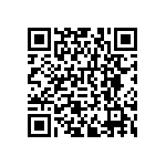 RNCF0402DTE24R0 QRCode