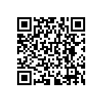 RNCF0603DTE301K QRCode