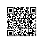 RNCF0603DTE453K QRCode