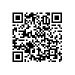 RNCF1206BKC2K61 QRCode