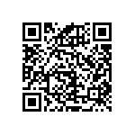 RNCF1206BTC13K2 QRCode