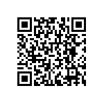 RNCF1206BTC4K53 QRCode