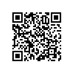 RNCF1206BTE13R3 QRCode