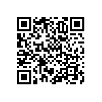 RNCF1206BTE93K1 QRCode