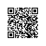 RNCF1210BTC13R0 QRCode