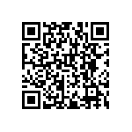 RNCF1210DTE1R33 QRCode