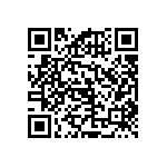 RNCF2512BKE130K QRCode