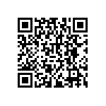 RNCF2512BKE13R0 QRCode