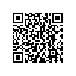 RNCF2512BKE16K2 QRCode