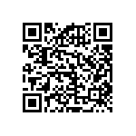 RNCF2512BKE17K8 QRCode