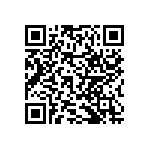 RNCF2512BKE2M20 QRCode