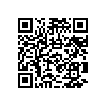 RNCF2512BKE301K QRCode