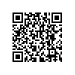 RNCF2512BKE30K1 QRCode