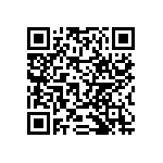 RNCF2512BKE33K0 QRCode