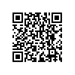 RNCF2512BTC11K0 QRCode