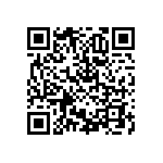 RNCF2512BTC30K1 QRCode