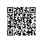 RNCF2512BTE33K0 QRCode