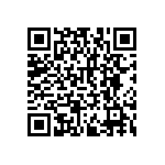 RNCF2512BTE3K24 QRCode