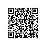 RNCF2512DKE113R QRCode